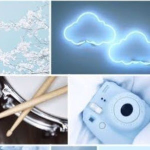 Meet your Posher, Tyson